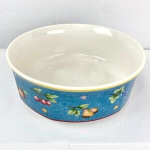 Villeroy & Boch 10" Porcelain Serving Bowl Large "Biella" Citta & Compagna EUC